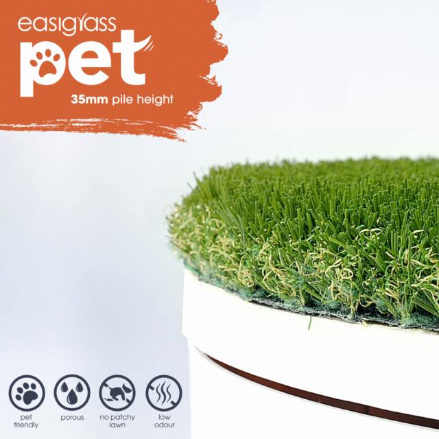 Easigrass Glasgow